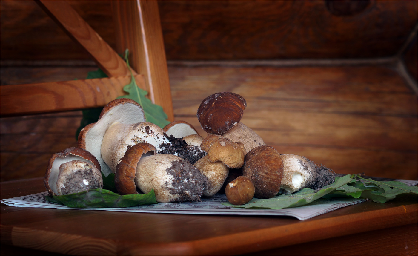 С белыми грибами