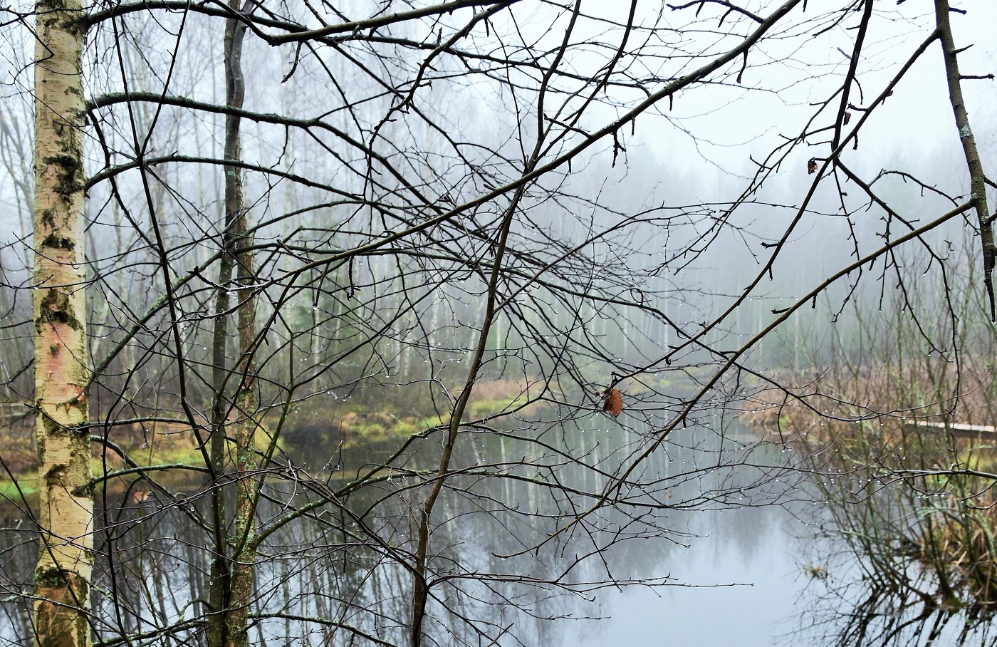 "Серый день. Моросят небеса тусклым бисером ..."