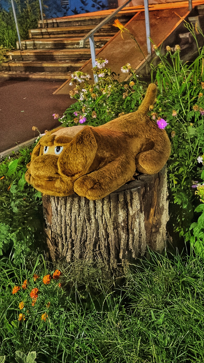 Ночной сторож