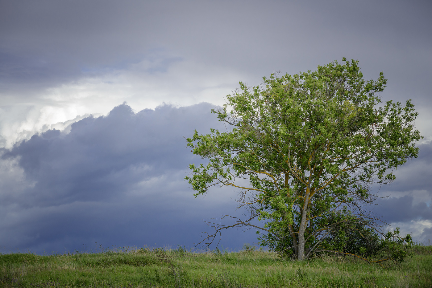 Дождевая туча...