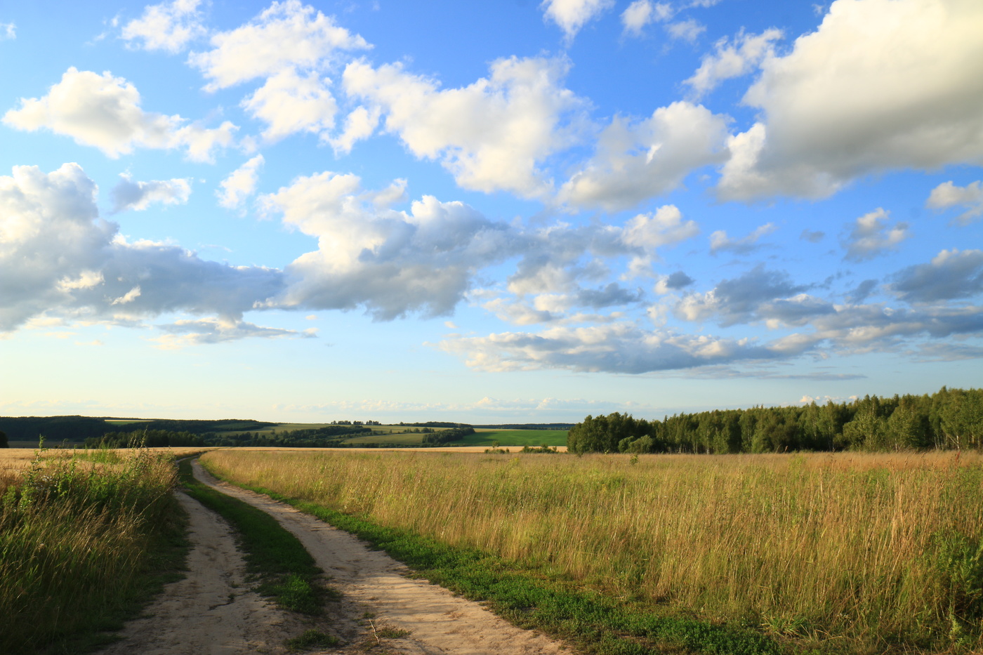 Зарайские окрестности