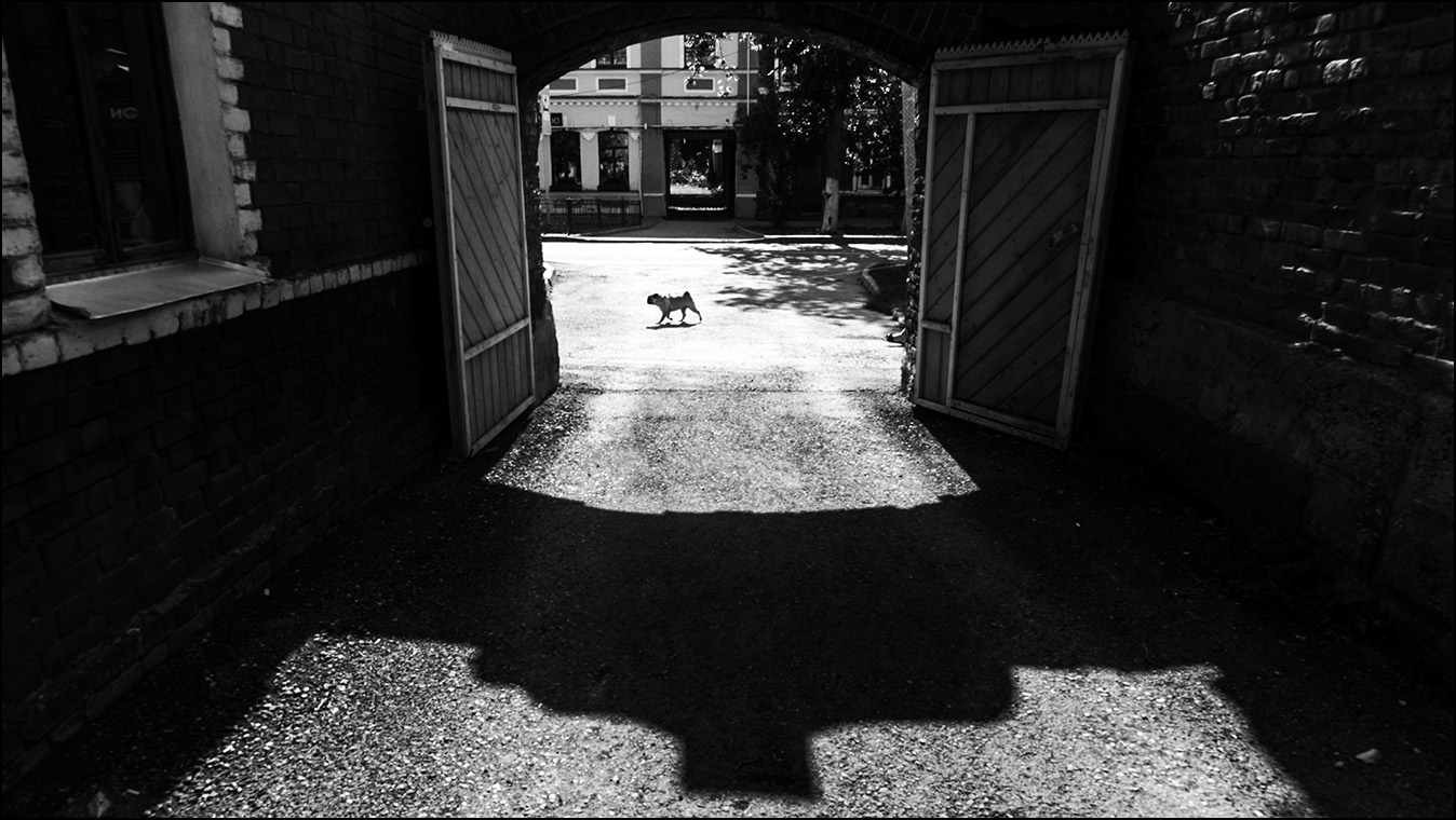 пёс на ураме