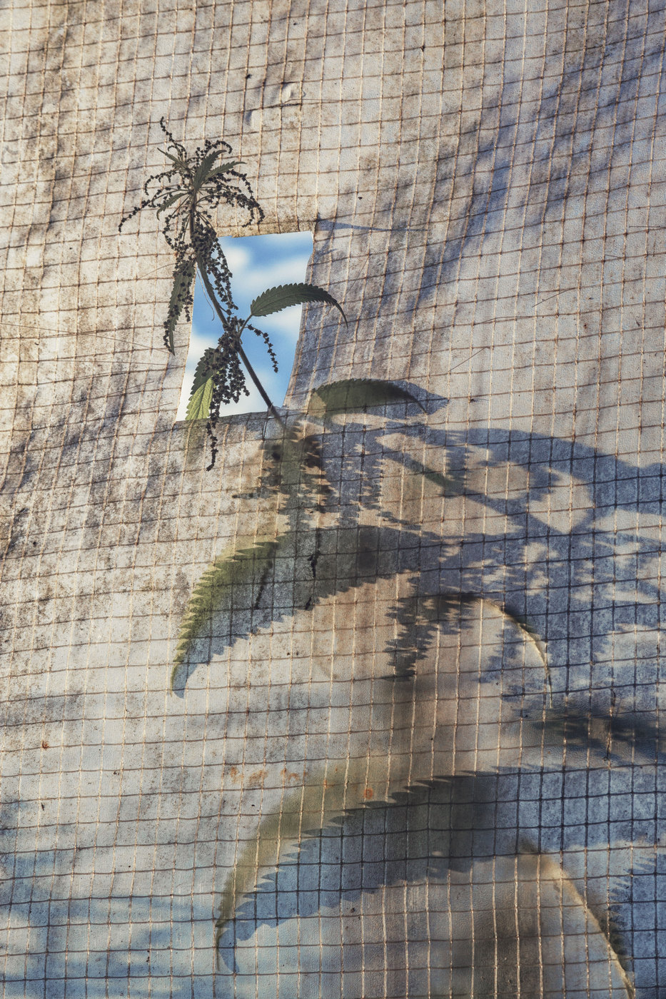 Жизнь вокруг