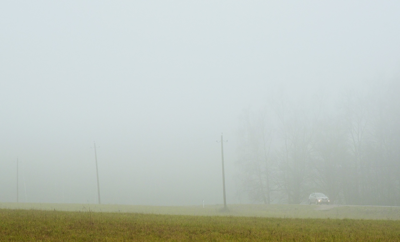 "Спешу к тебе, как листья, стыд отбросив ..."