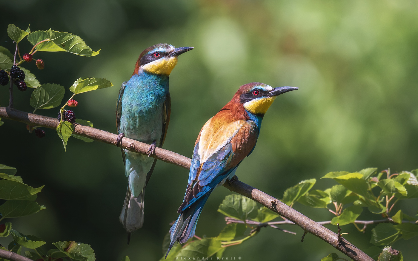 Семейный портрет в интерьере