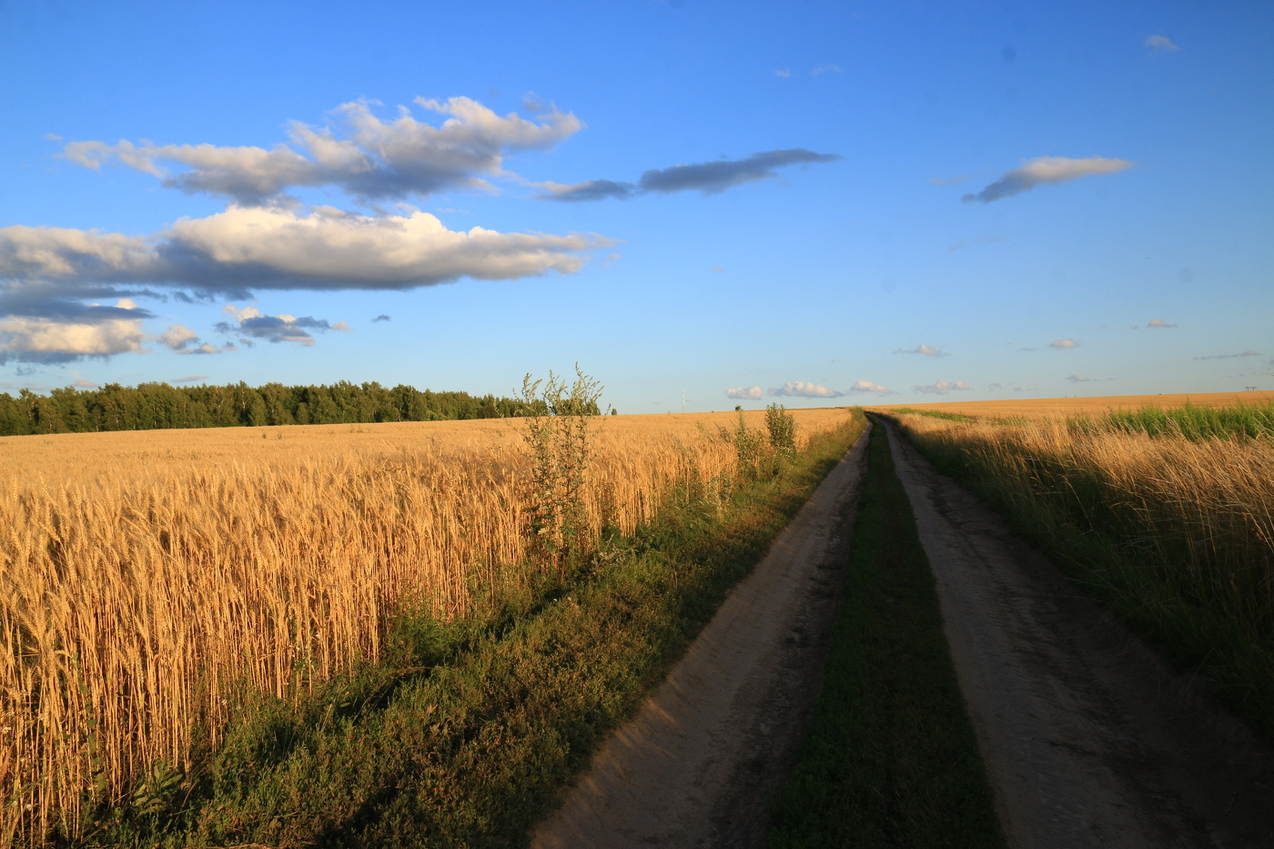 Зарайские окрестности