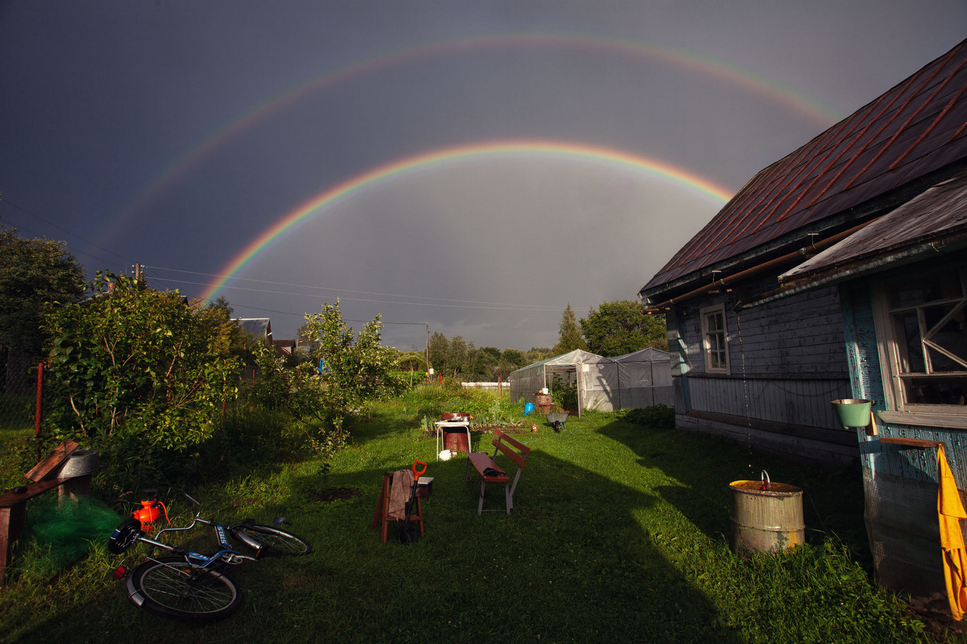 Жизнь вокруг