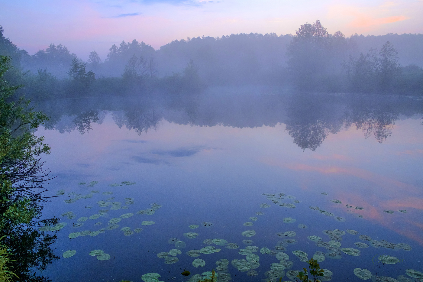 Туманный пейзаж.