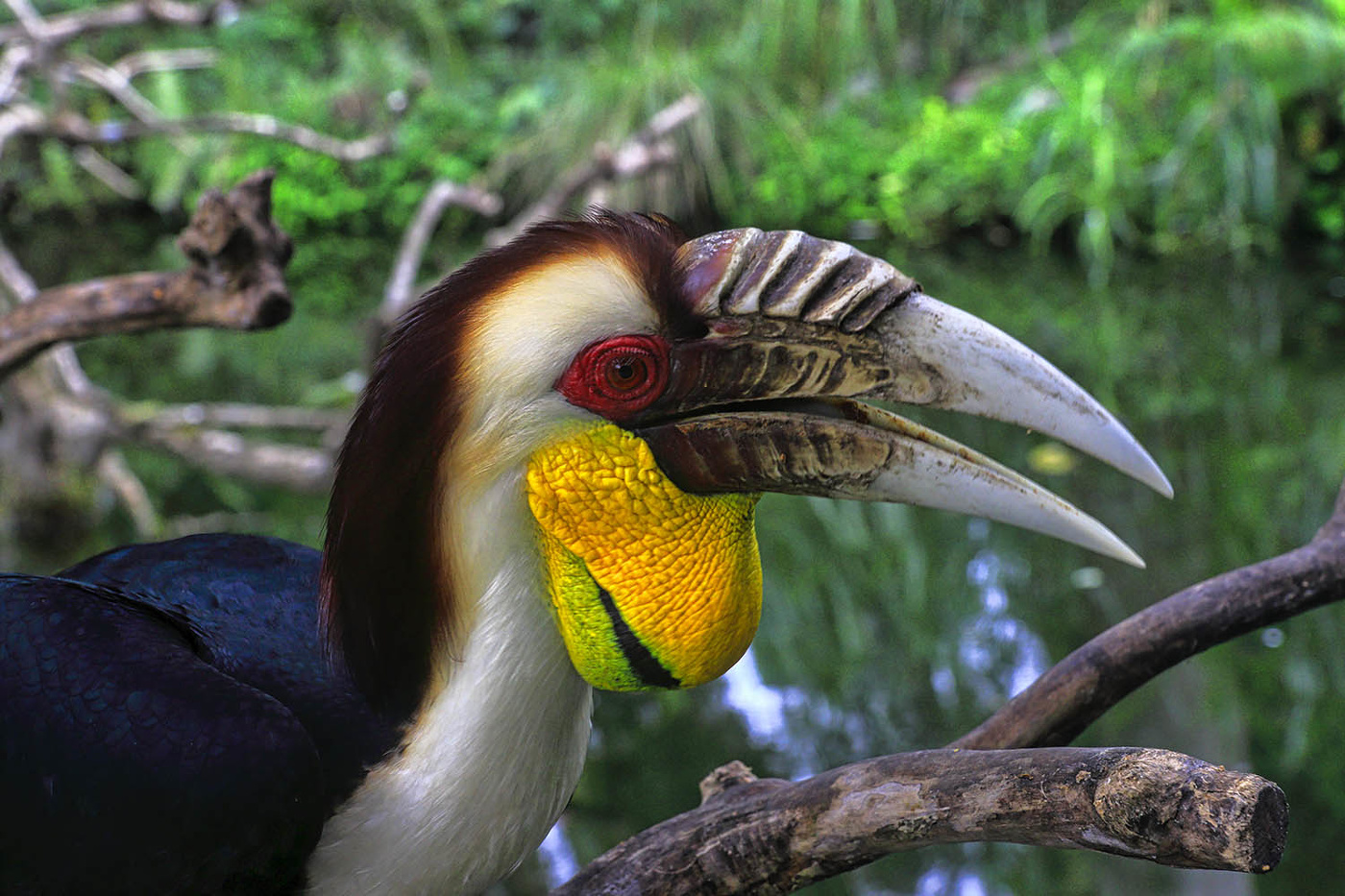 Гордый профиль