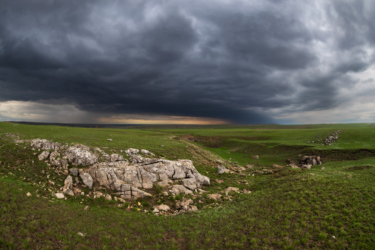 В апрельской степи