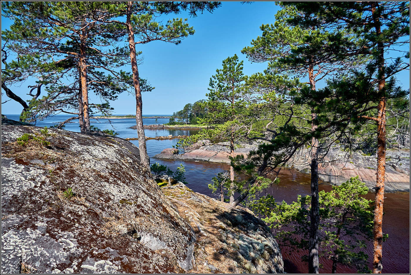 На Севере дальнем.