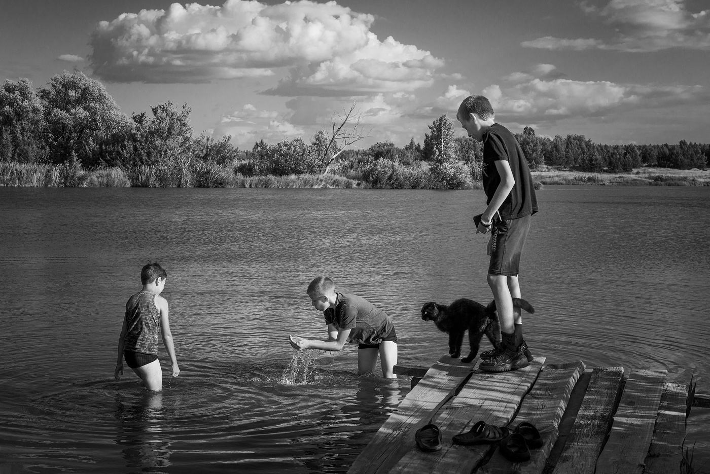 Рыбалка для кошки...