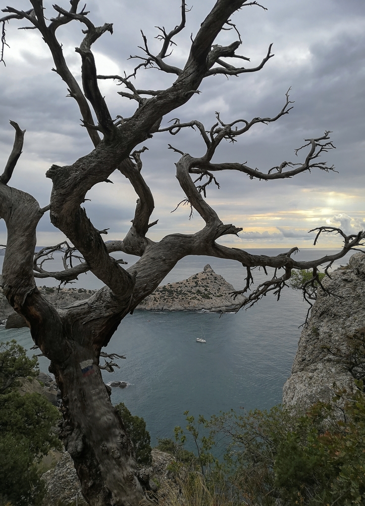 Боль воспоминаний...