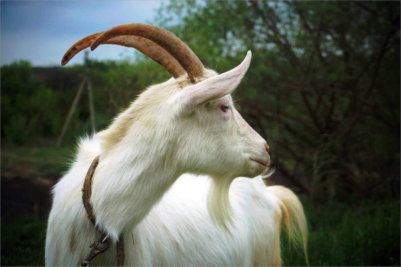 Я оглянулась посмотреть...