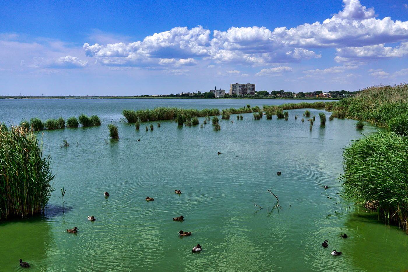 Сакское озеро