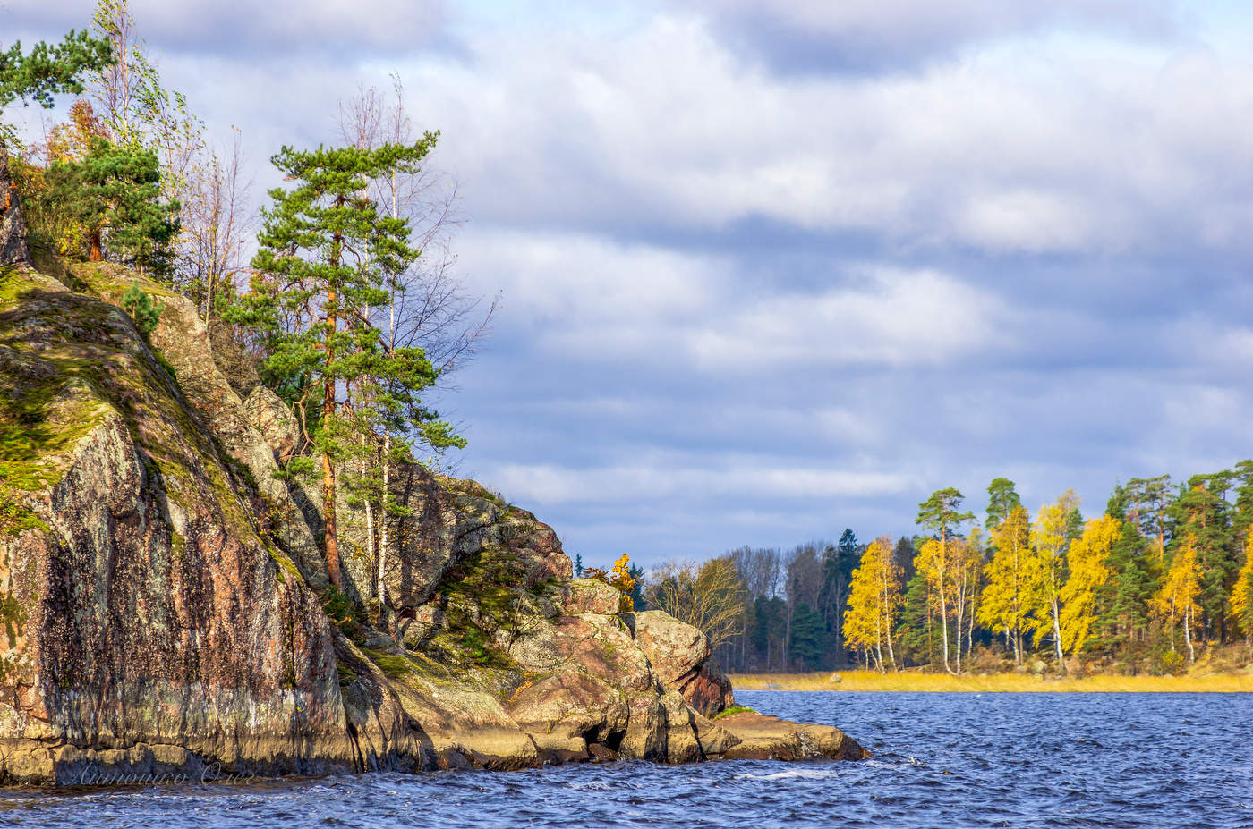 Горд Выборг.