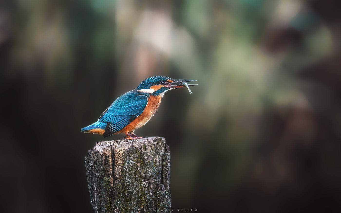 С небольшой добычей