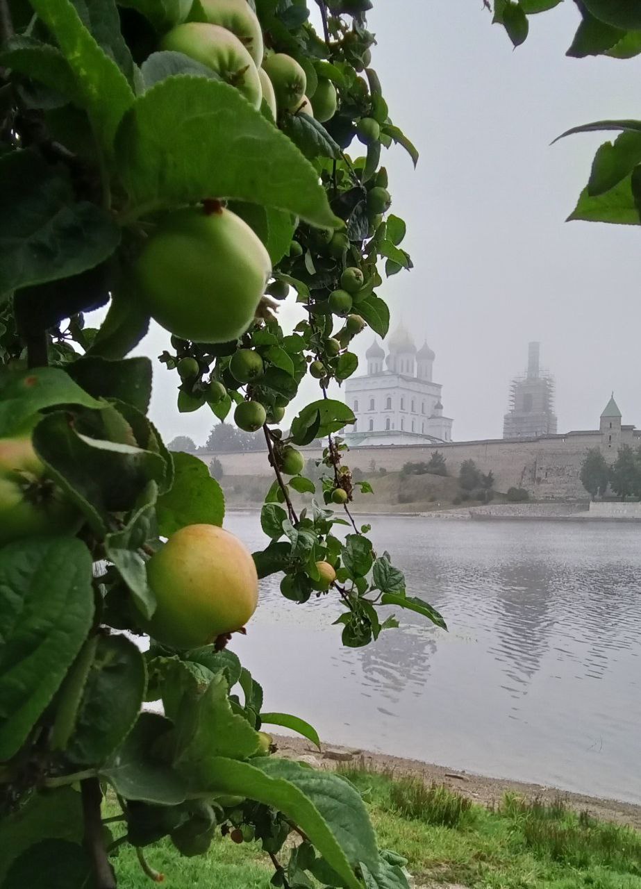 Псковское утро.