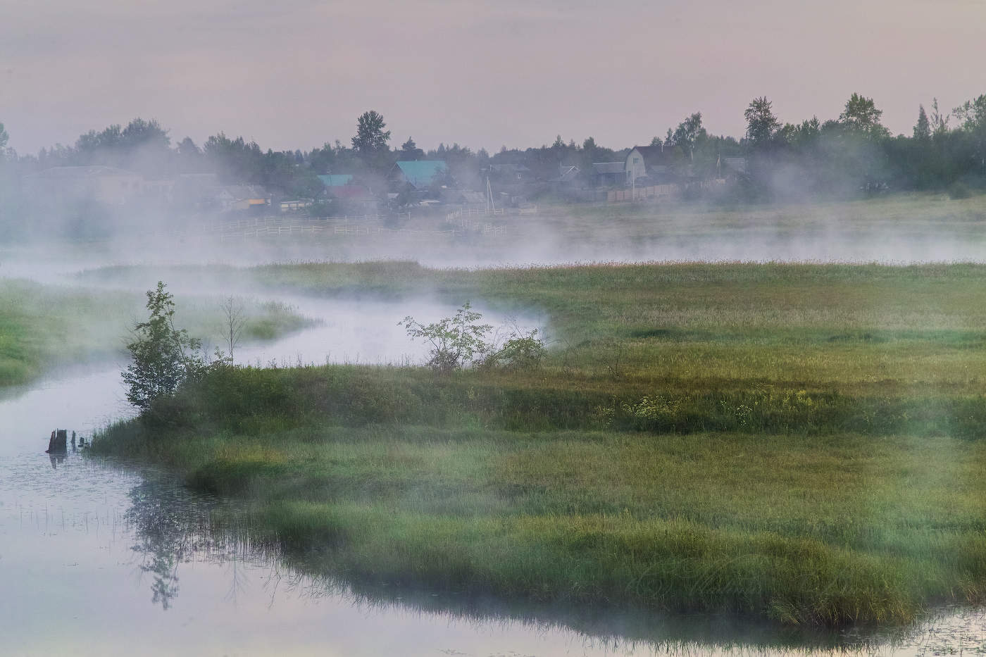 Утренний туман