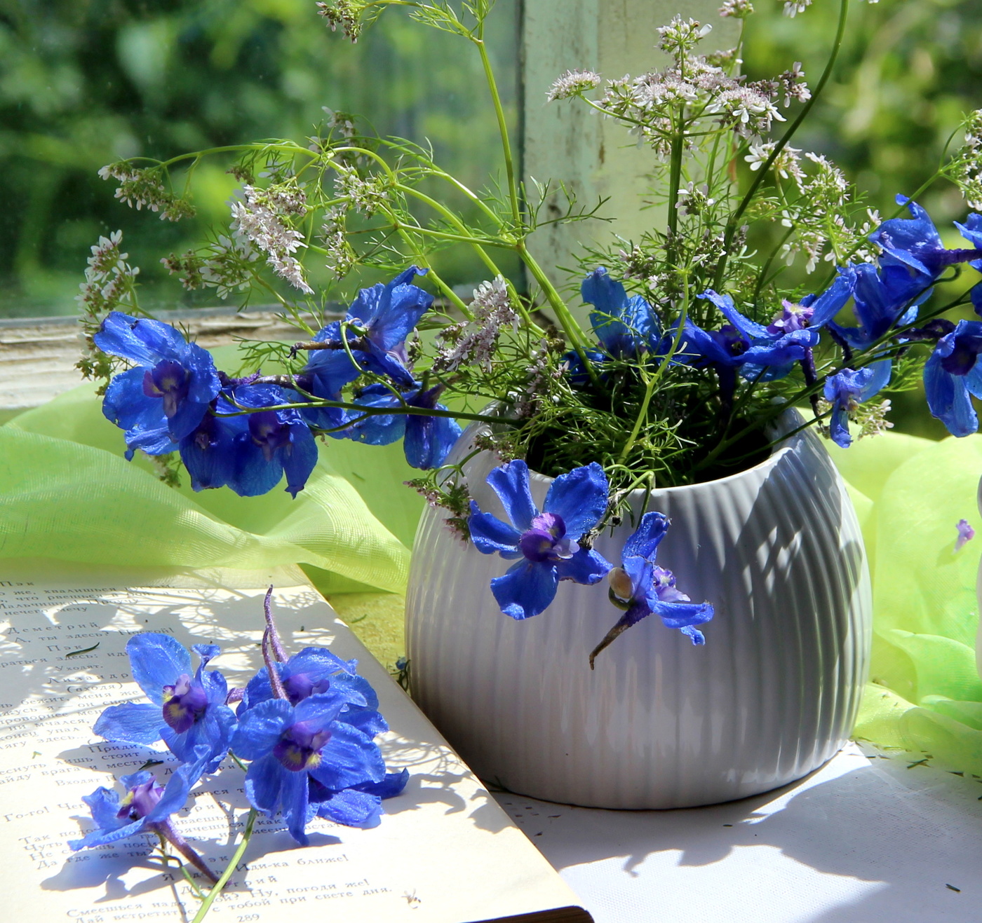 Натюрморт с дельфиниумом!