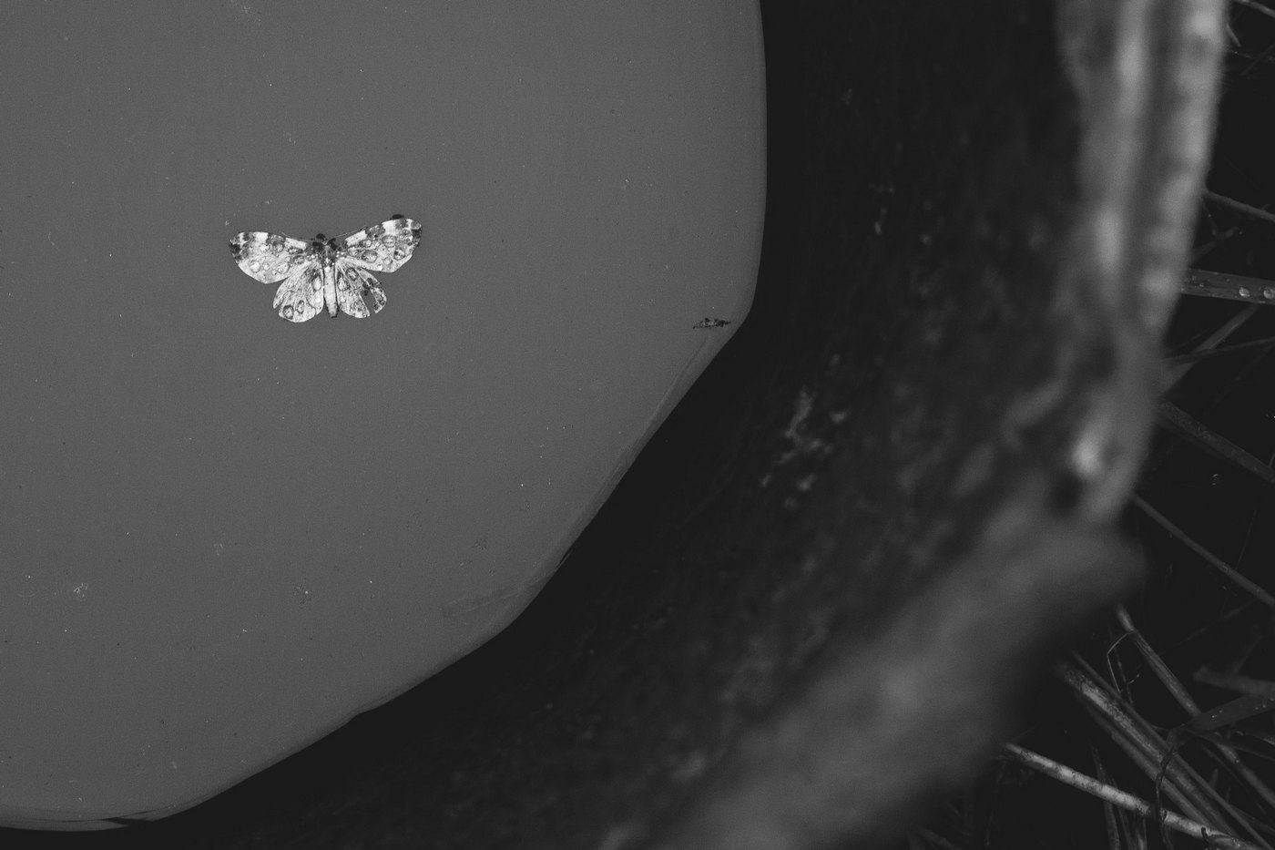 Жизнь вокруг