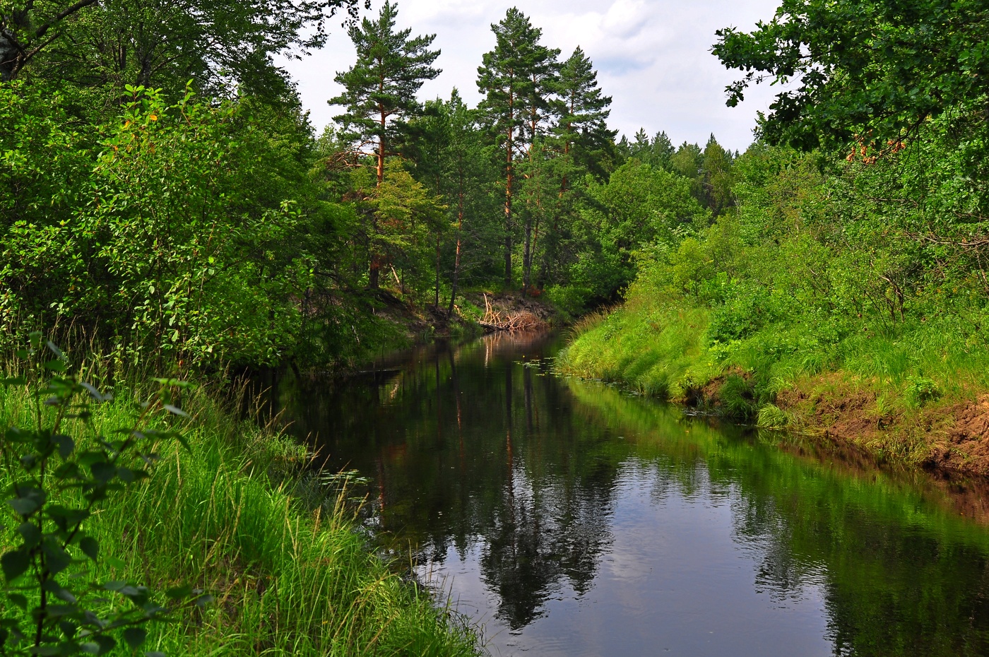 Лесная река Серёжа.