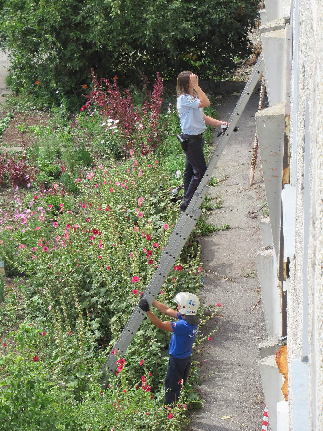 Переговорщица