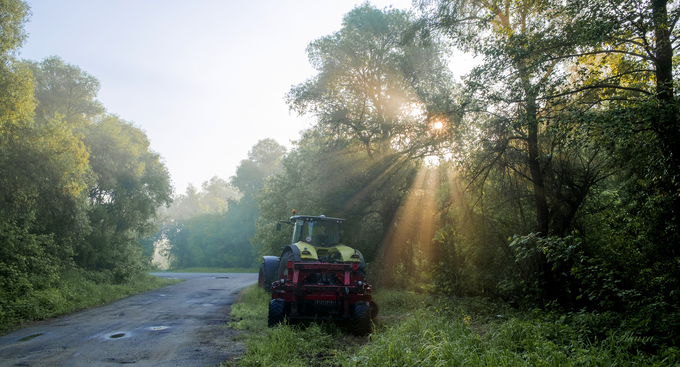 После утреннего дождя.