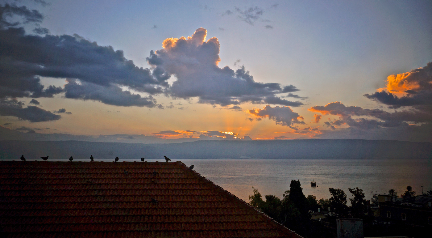 Голубиное утро, ‏טְבֶרְיָה‏‎