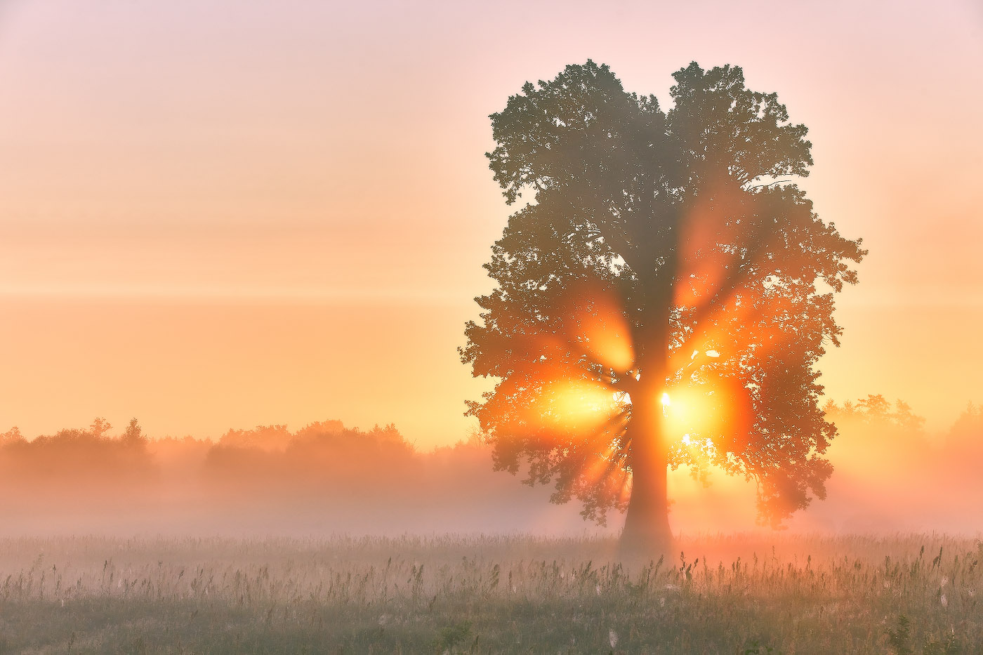 Рассвет. Июль.