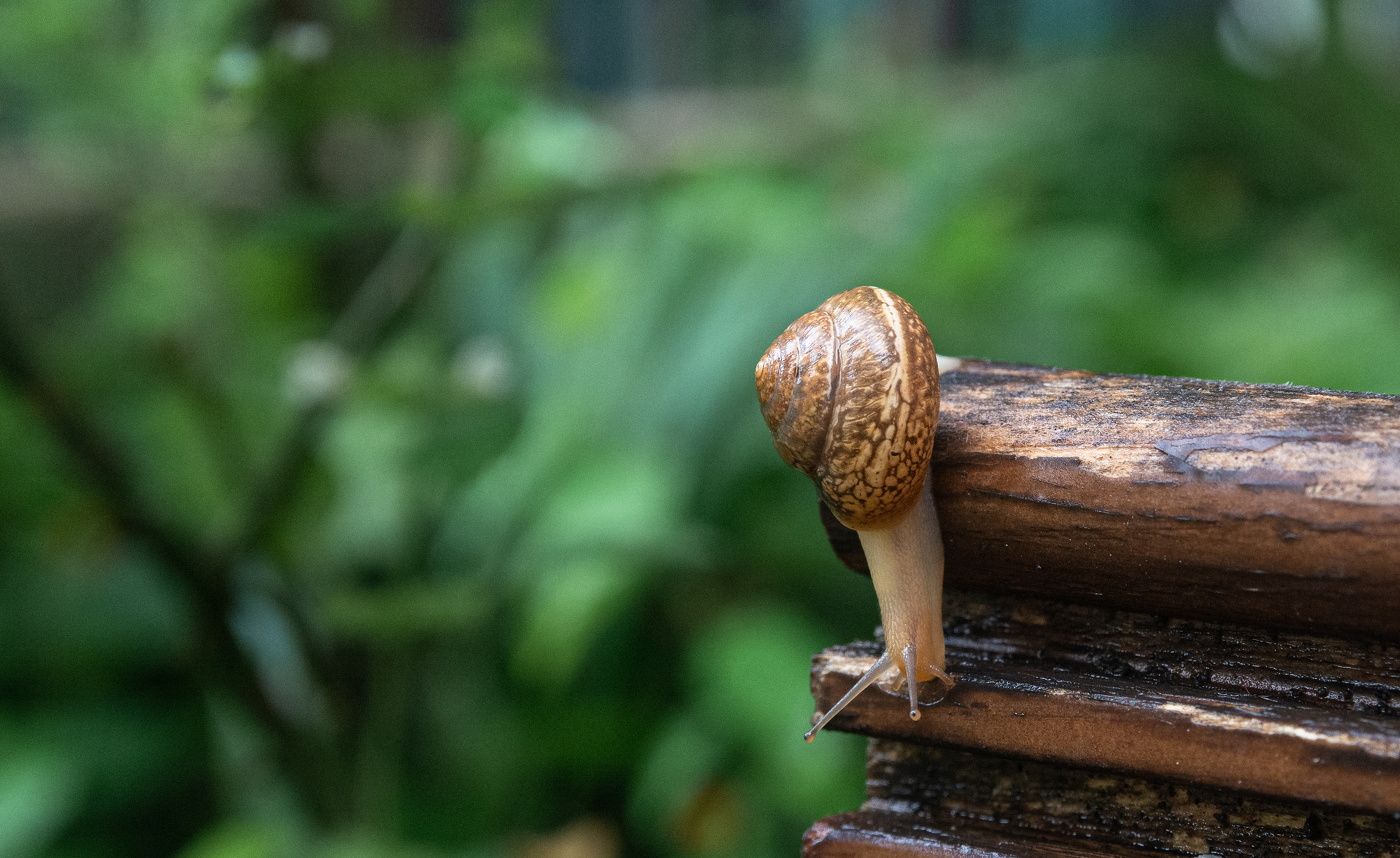 путешествие