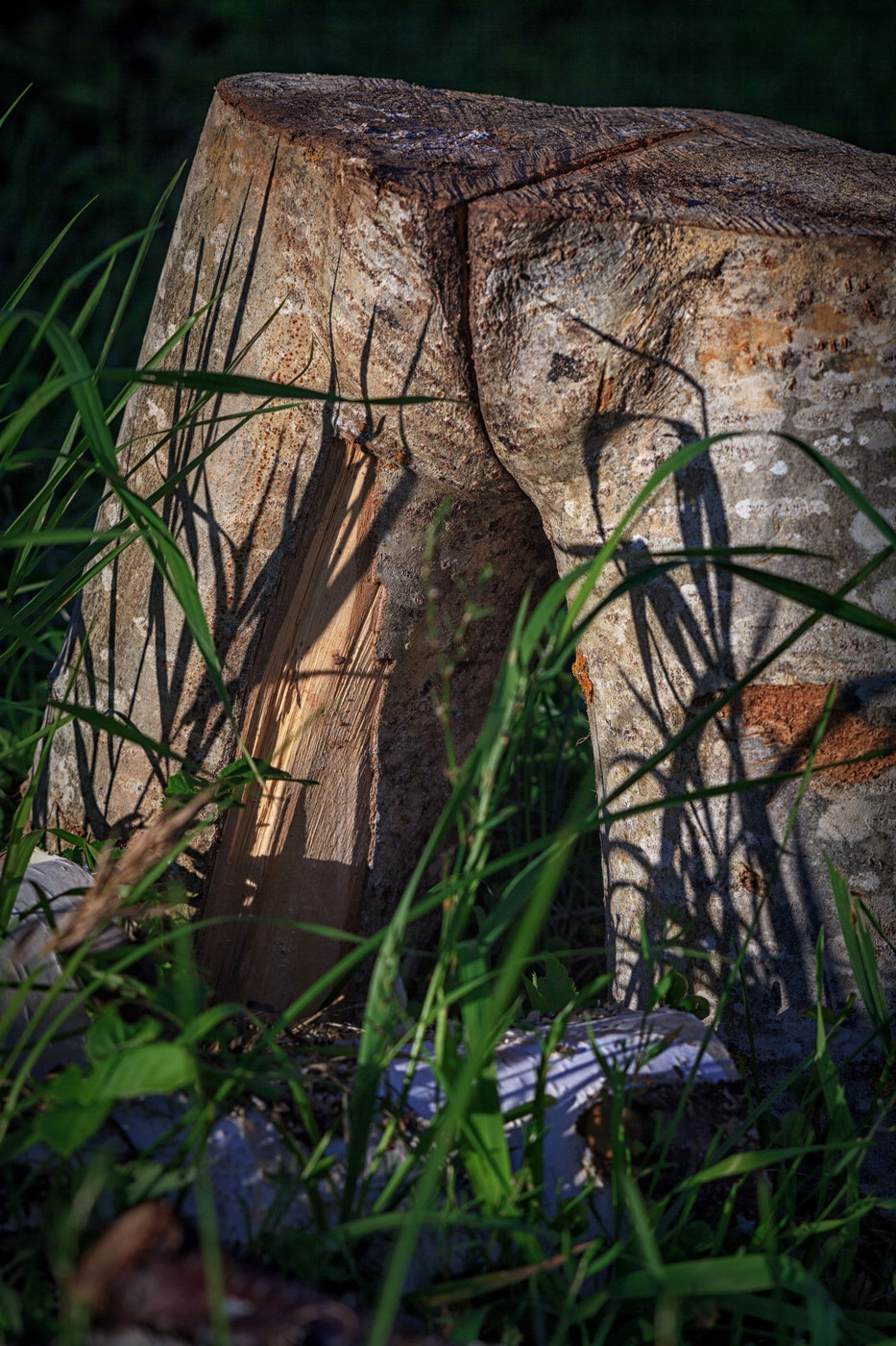 Жизнь вокруг