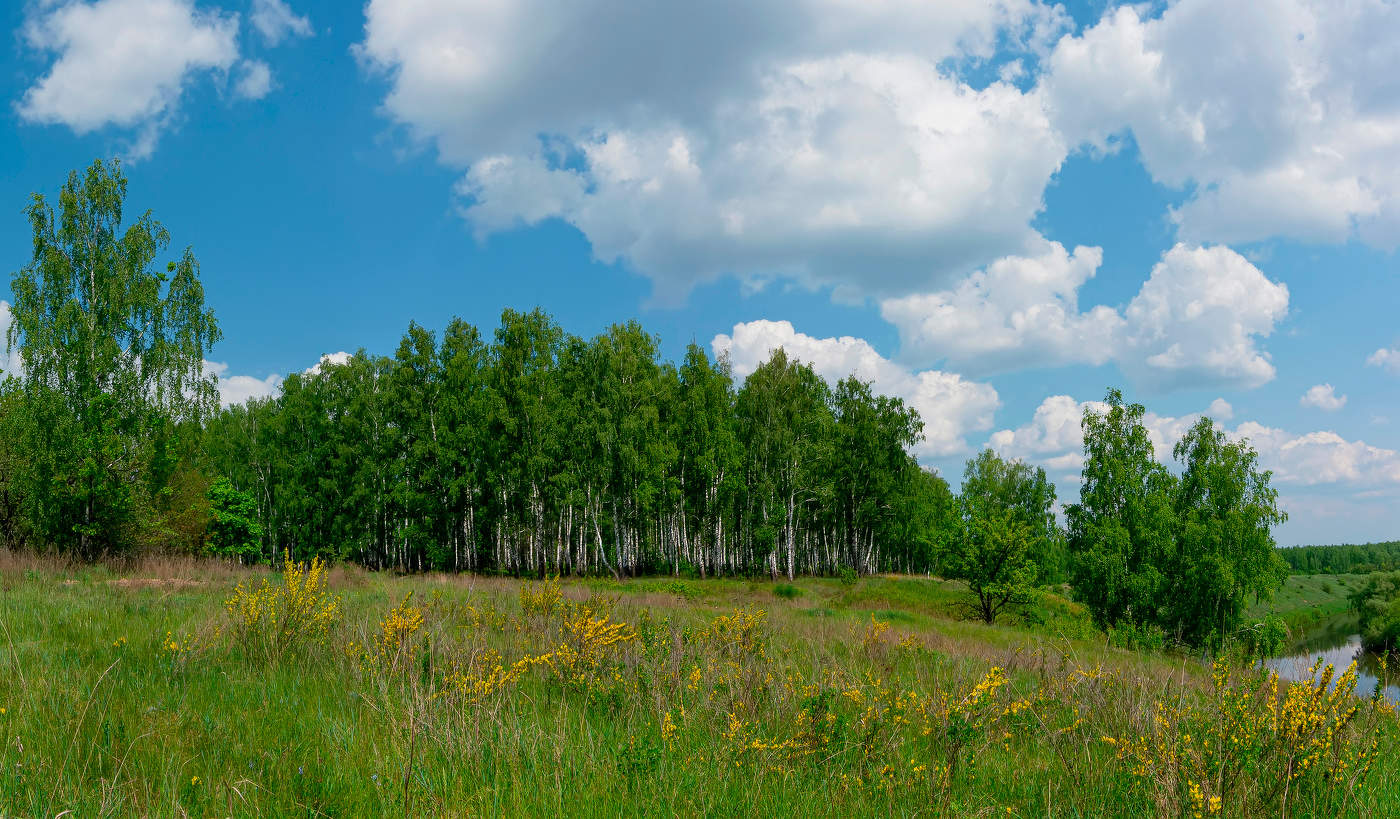 перед полуднем