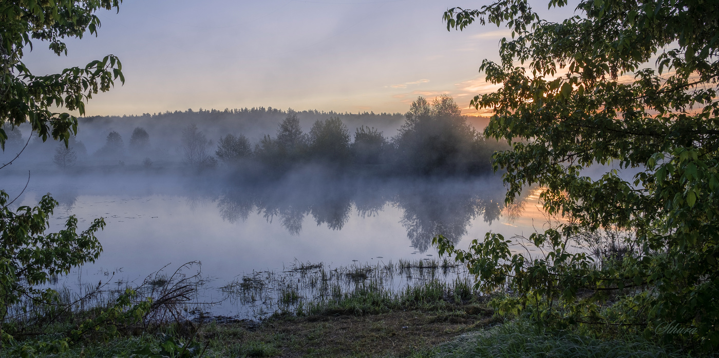 На озере туман.