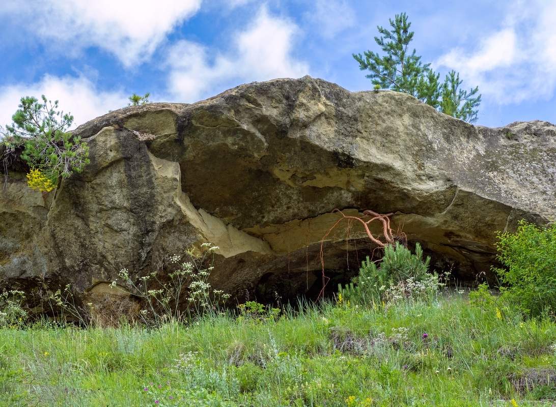 Держаться корней...