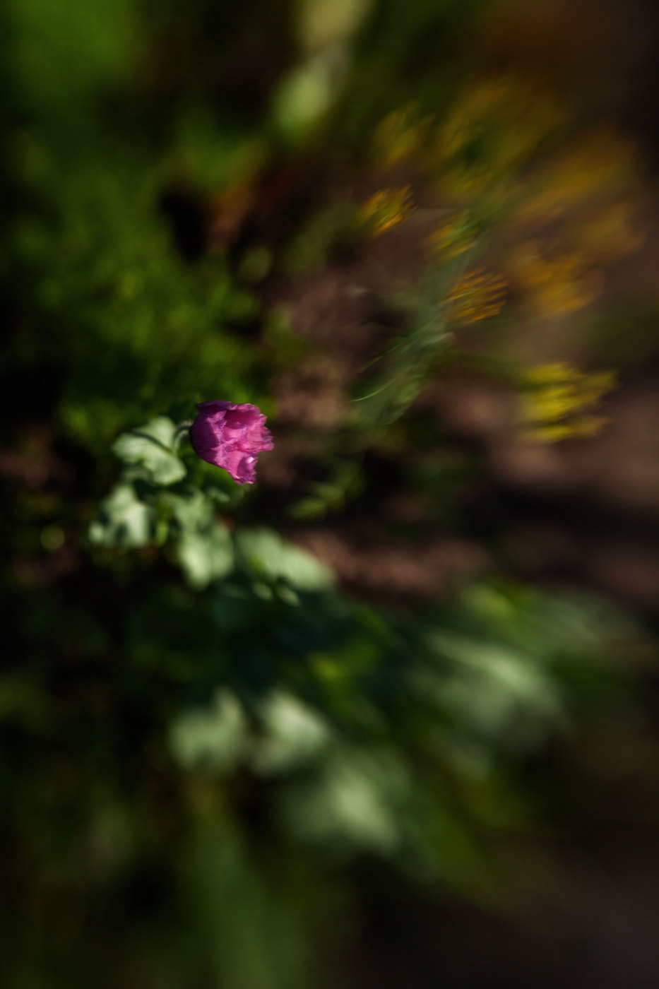 Жизнь вокруг