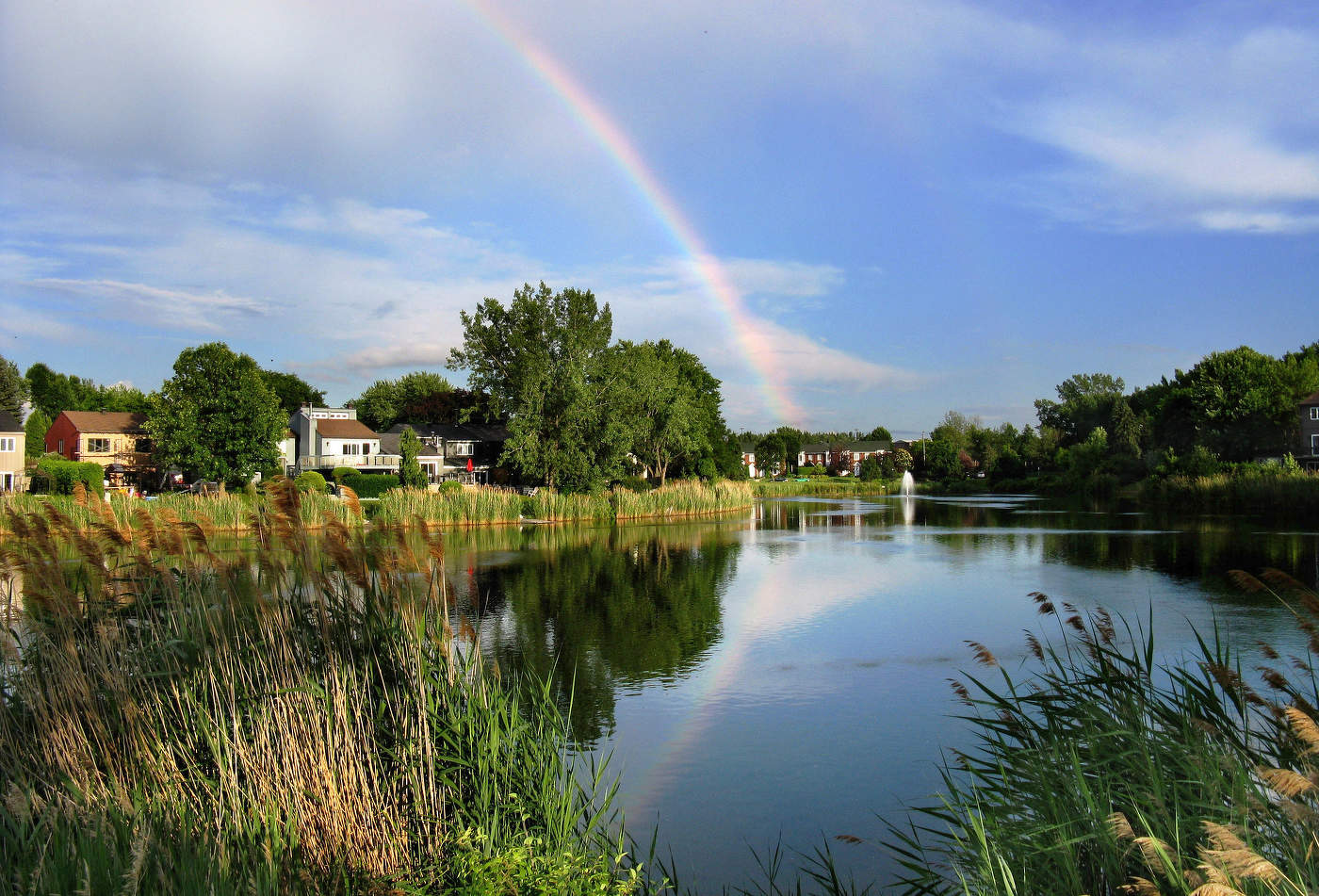 Разъяснилось