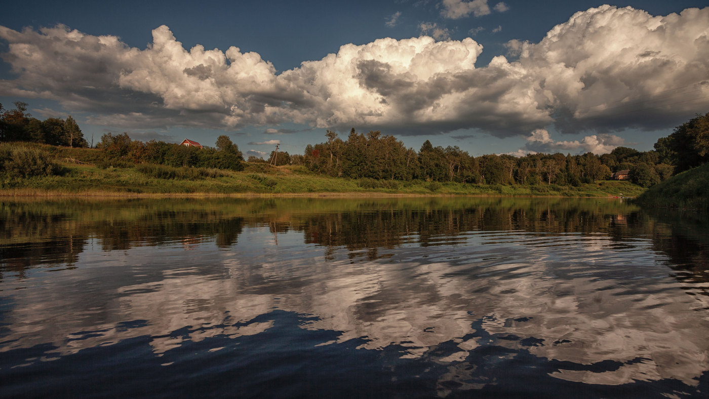 Жизнь вокруг