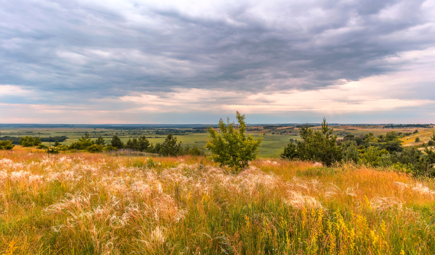 Летний вечер.