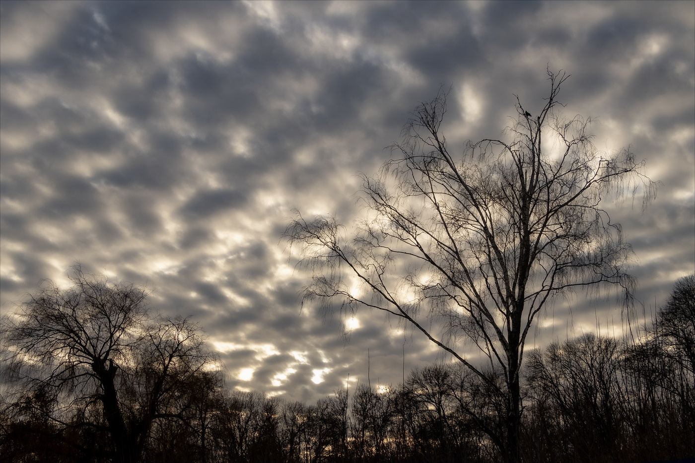 ОДИНОКИЙ ВЕЧЕР
