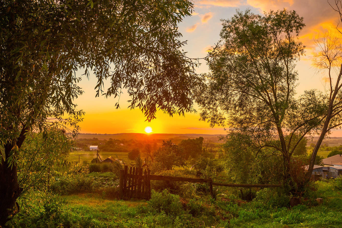 Летний вечер...