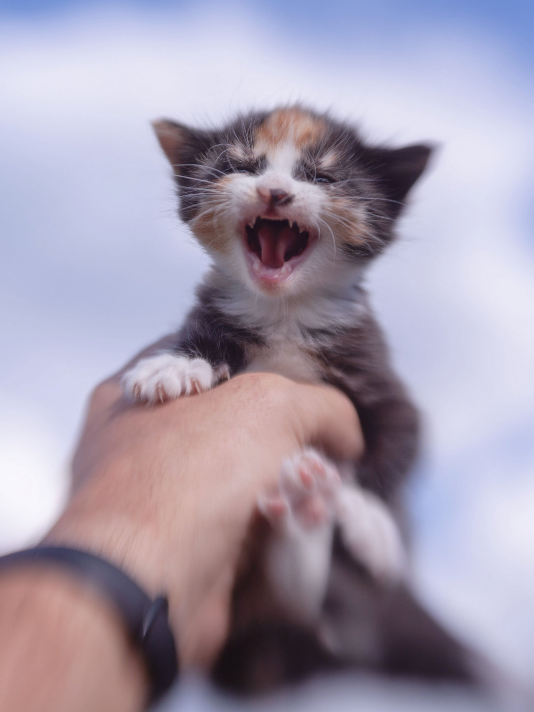 Жизнь вокруг