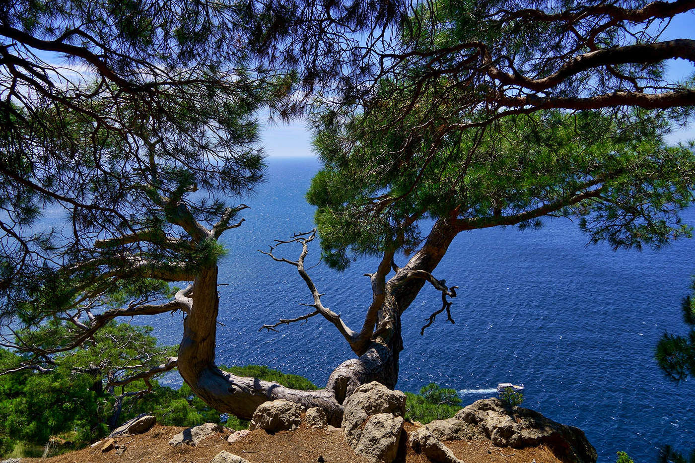 На мысе Айя