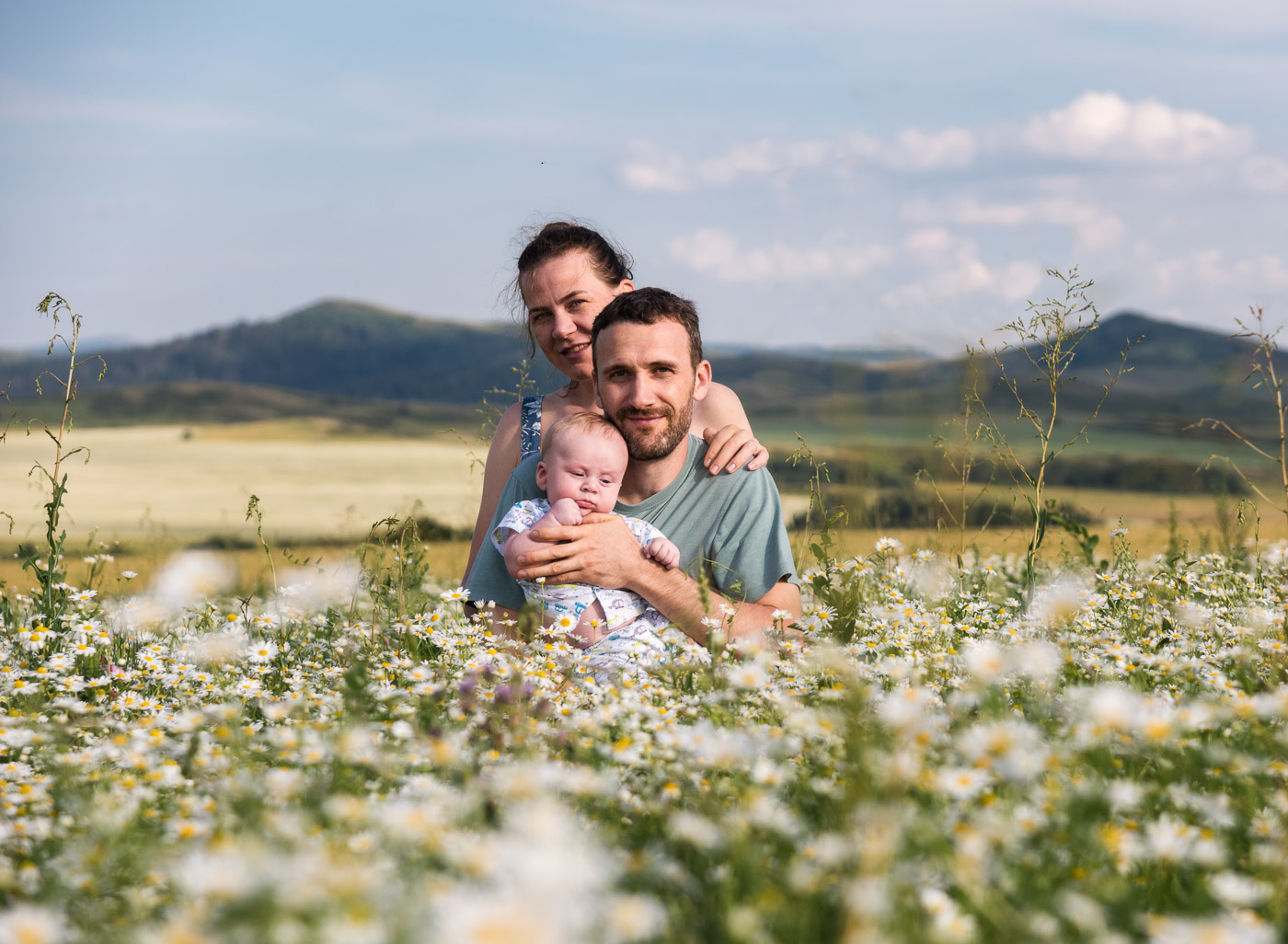 В ромашках нашли