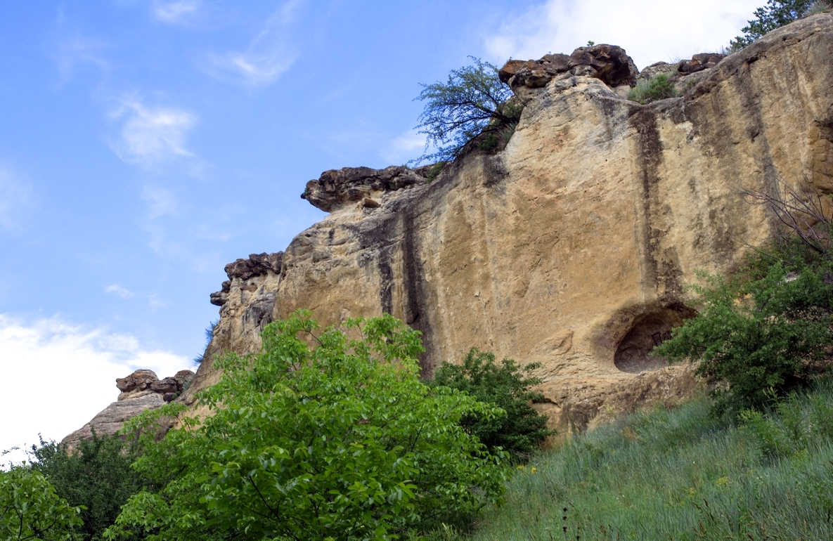 Стадо на краю...