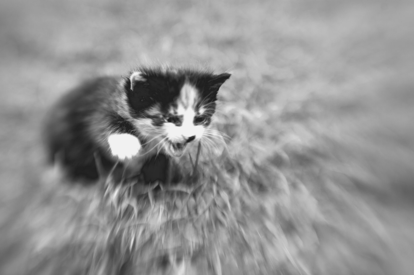 Жизнь вокруг