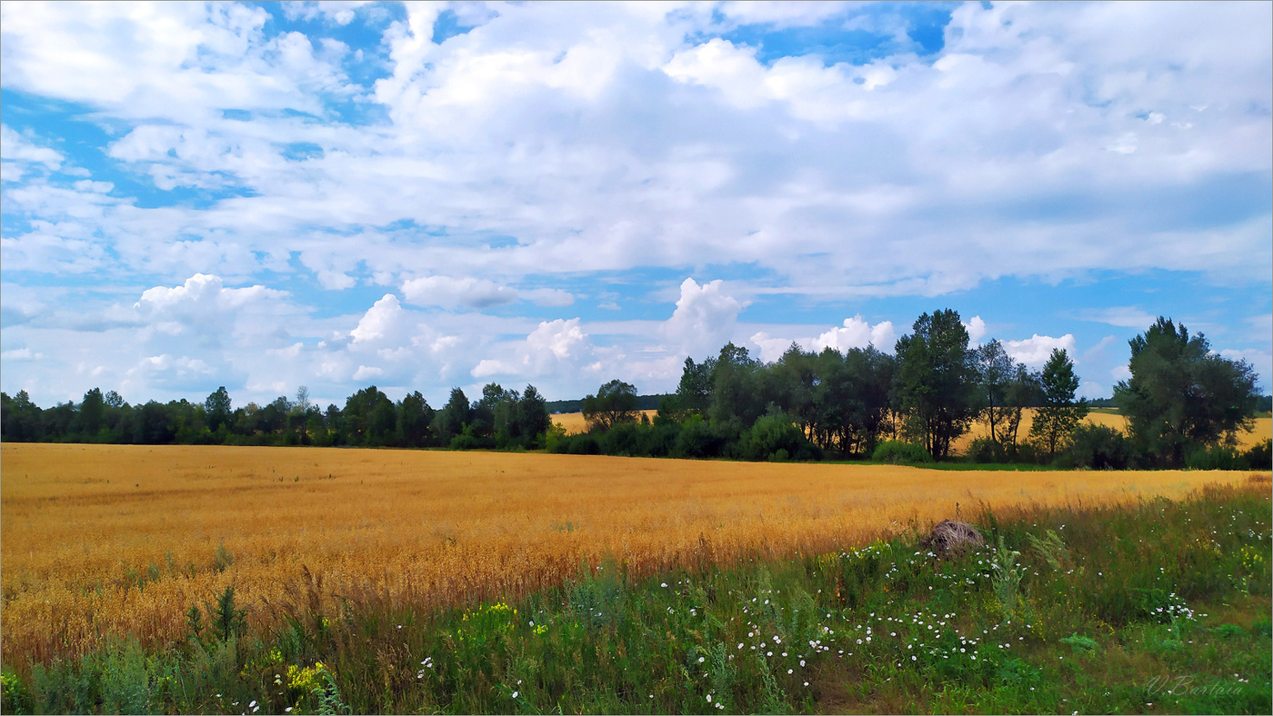 Вот и август...