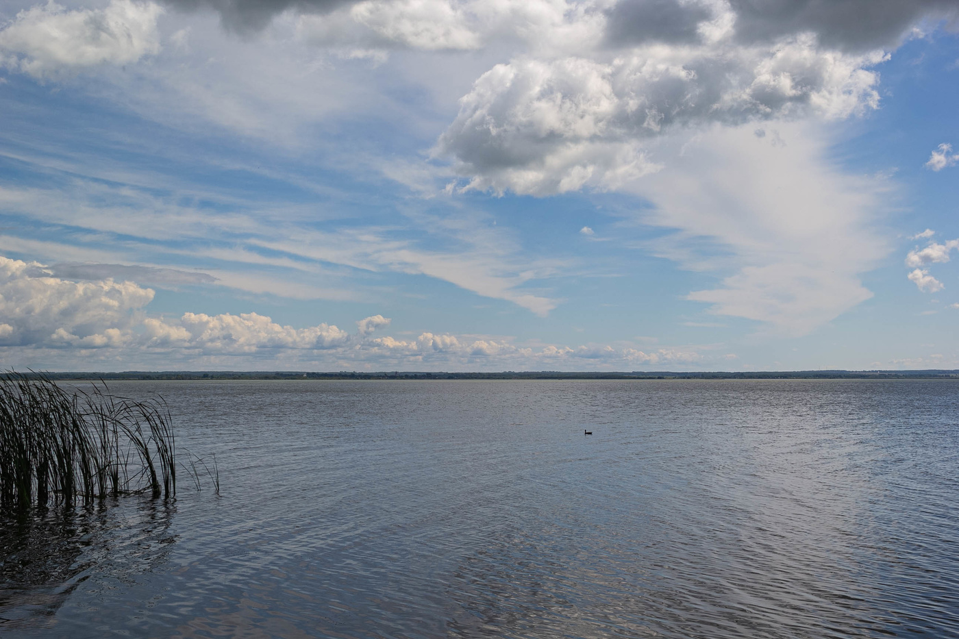 Лето на озере