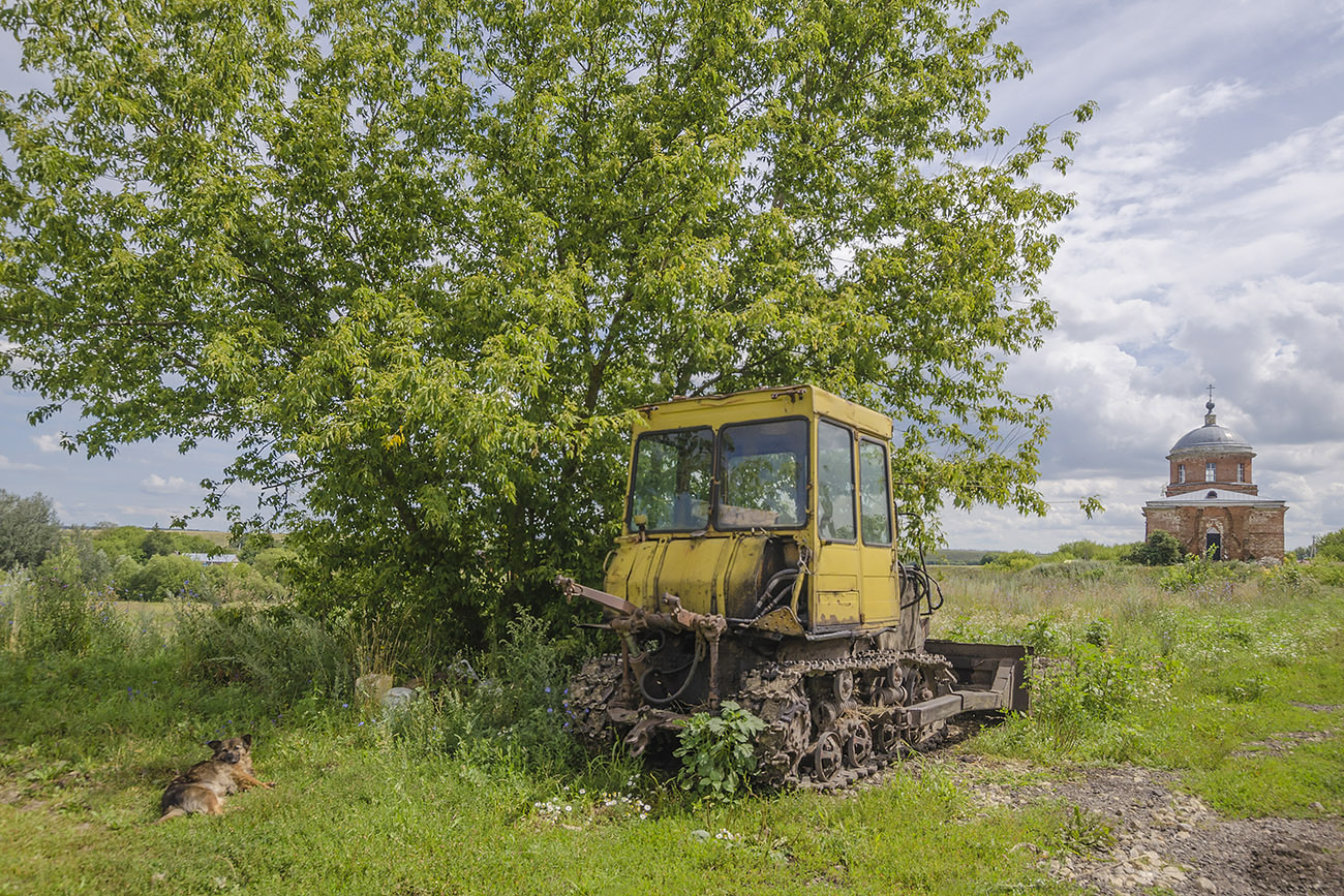 Тихий час в Орловке