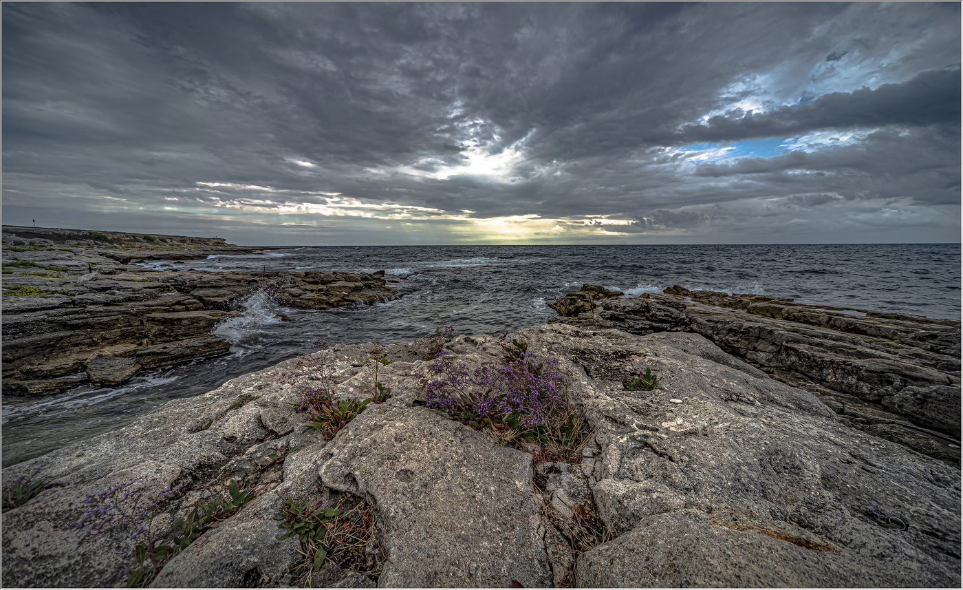 Крымский берег